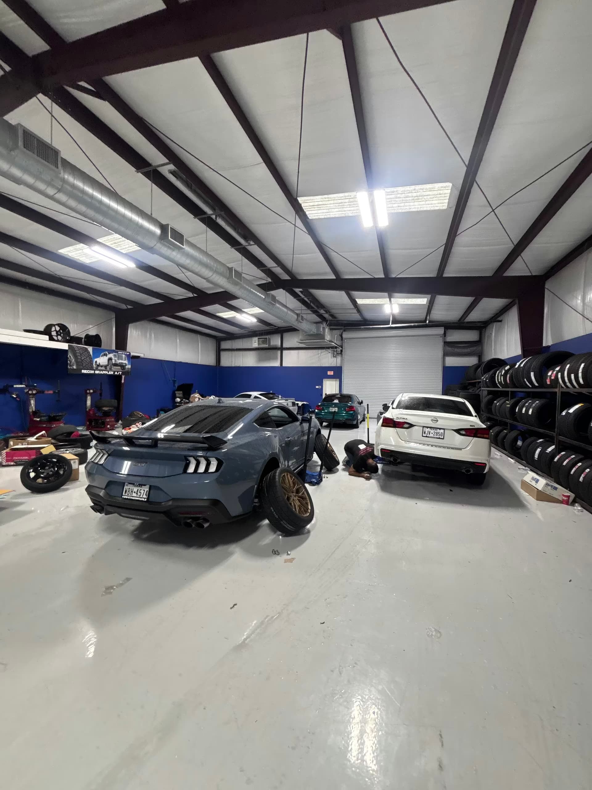 Habibi Shop Lineup