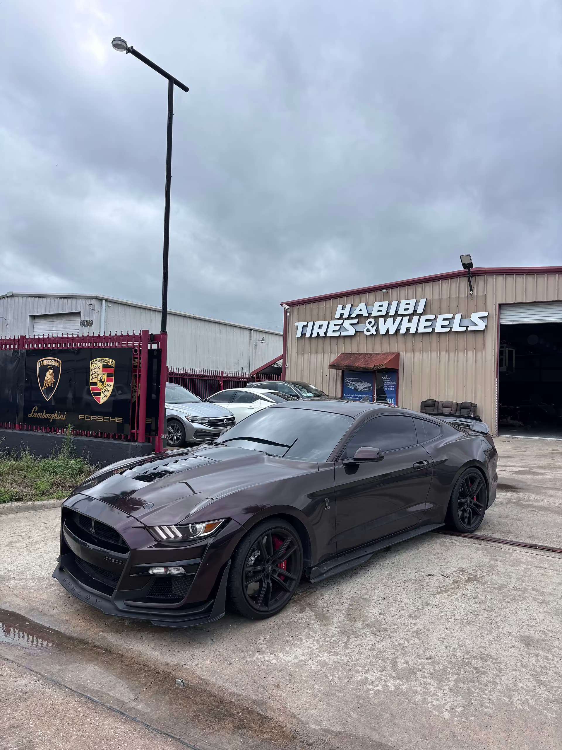 Mustang Build