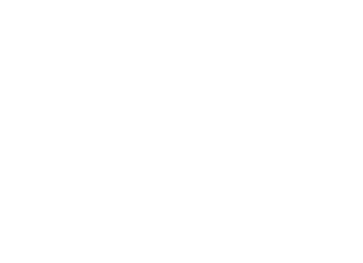 Asanti wheel logo