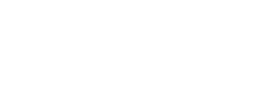 Rotiform wheel logo