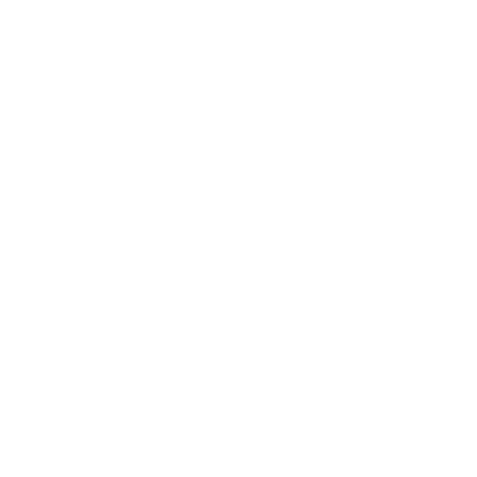 Vorsteiner wheel logo